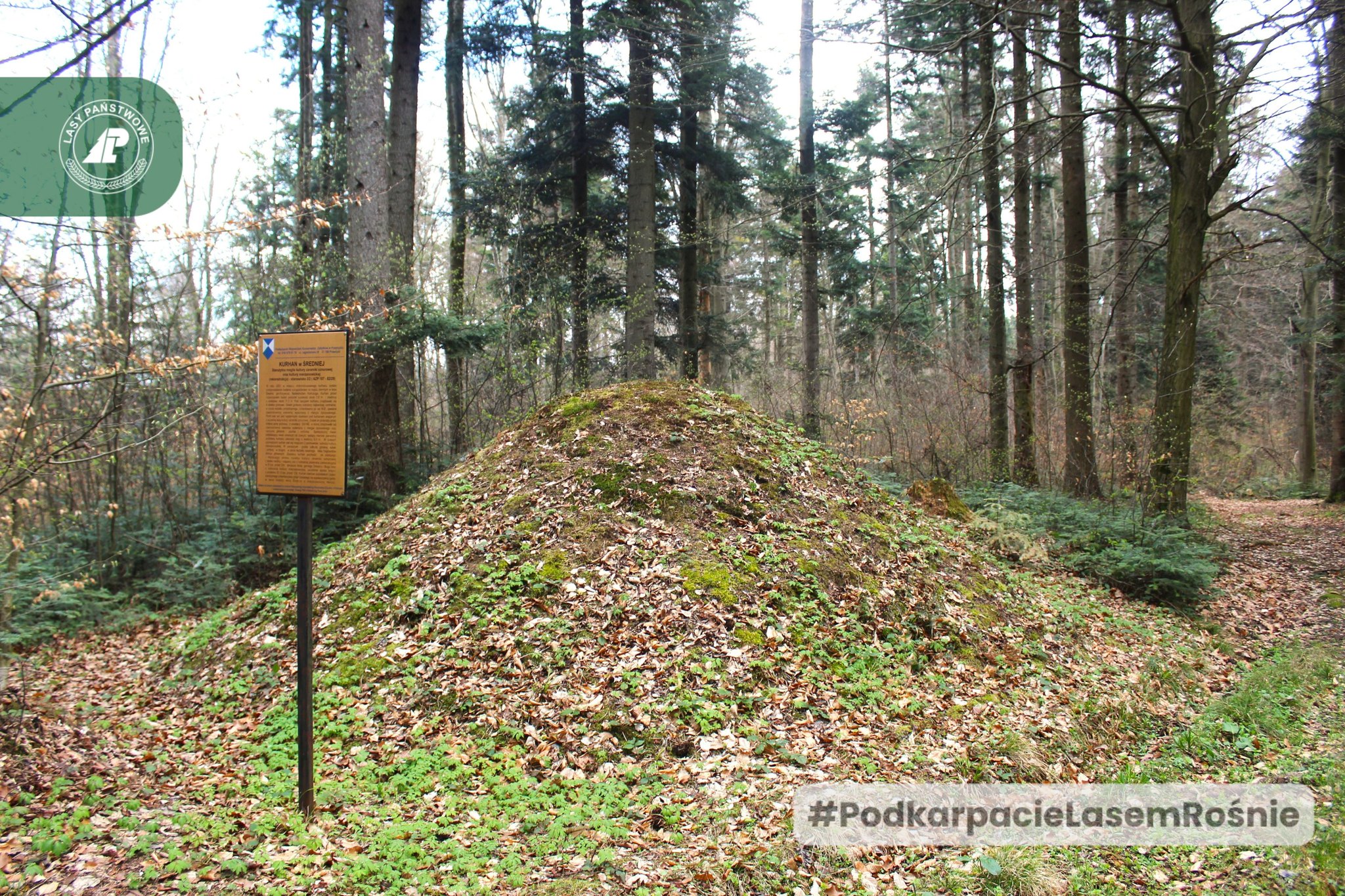 Lokalna Gazeta Internetowa 9 Kurhany W Okolicach Kańczugi