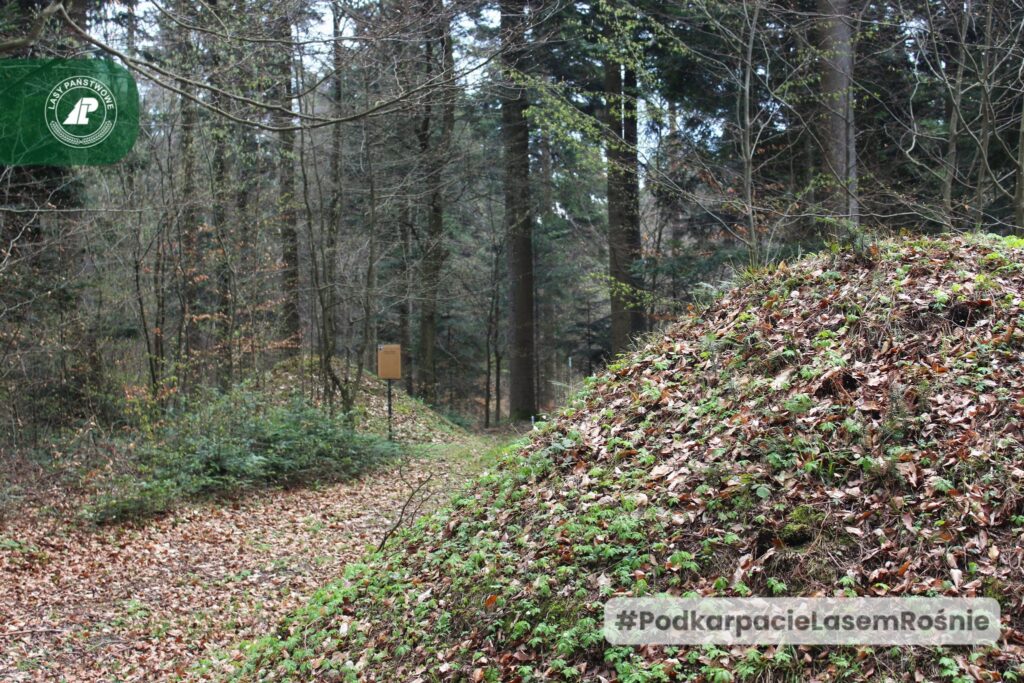 Starsze Niż Egipskie Piramidy. Niezwykła Historia Kurhanów W Okolicach Kańczugi 1 Kurhany W Okolicach Kańczugi
