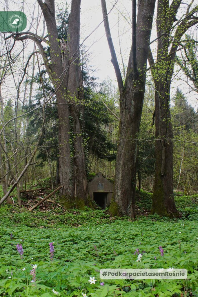 Inżynieryjny Cud W Lasach Pod Kańczugą. Poznaj Historię Wodociągu Ordynata Potockiego