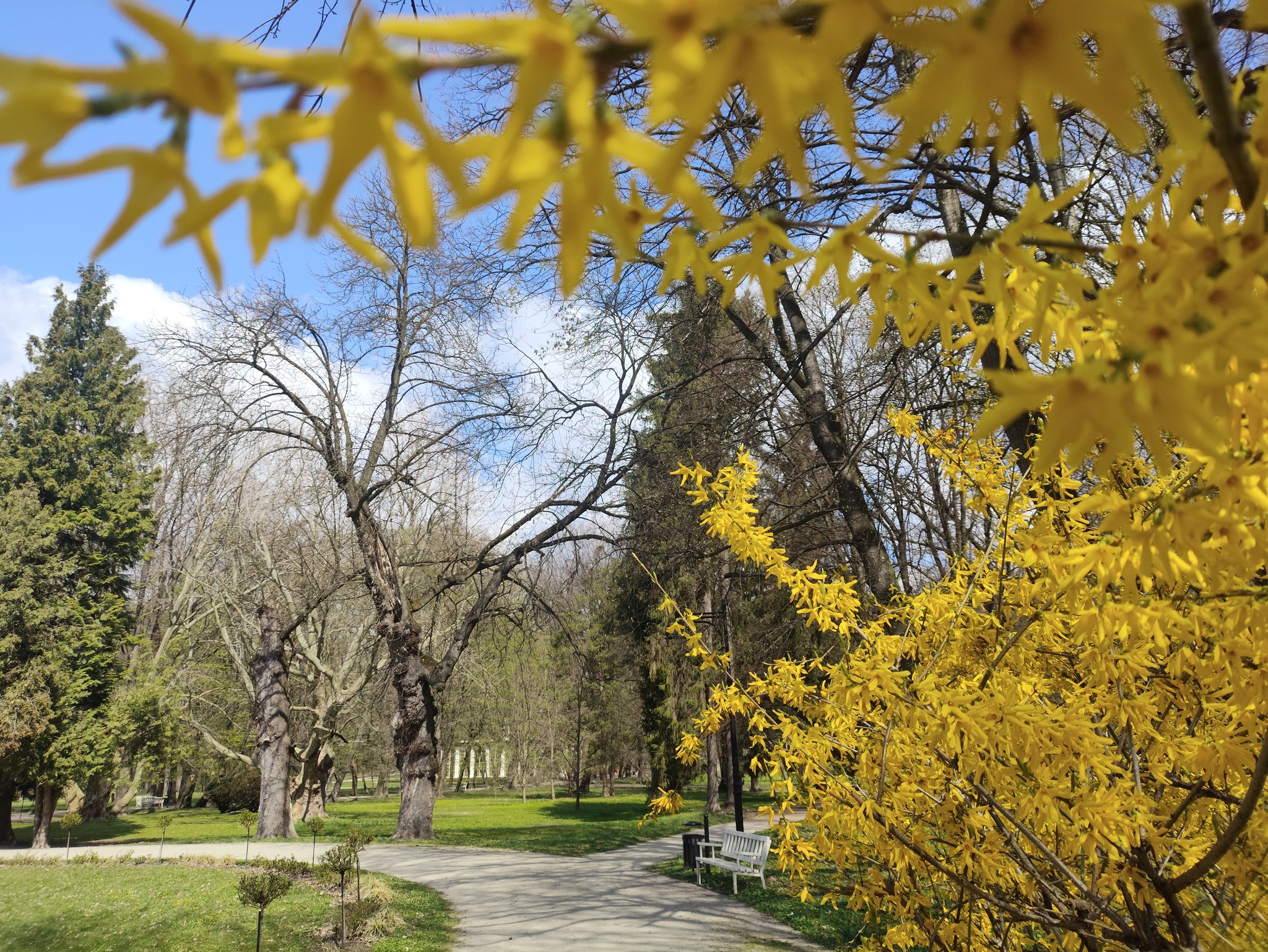 Lokalna Gazeta Internetowa