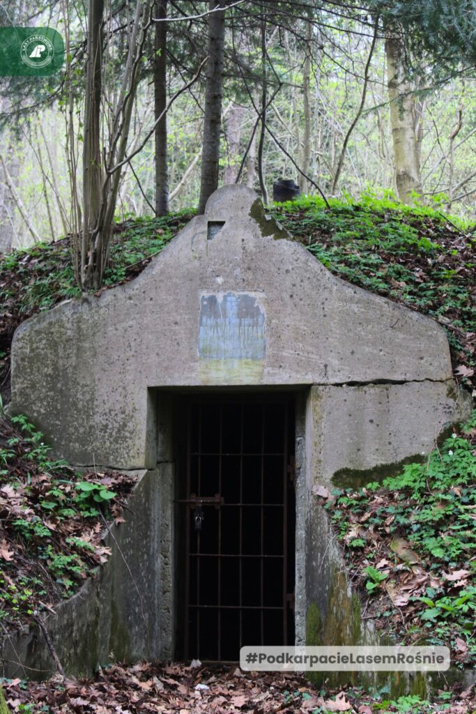 Inżynieryjny Cud W Lasach Pod Kańczugą. Poznaj Historię Wodociągu Ordynata Potockiego