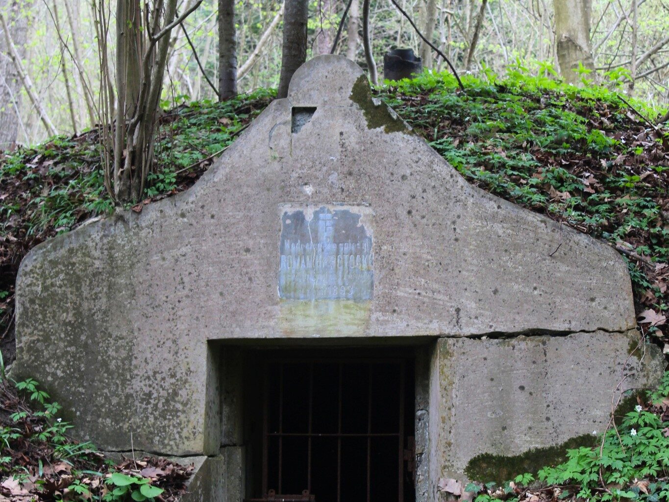 Lokalna Gazeta Internetowa