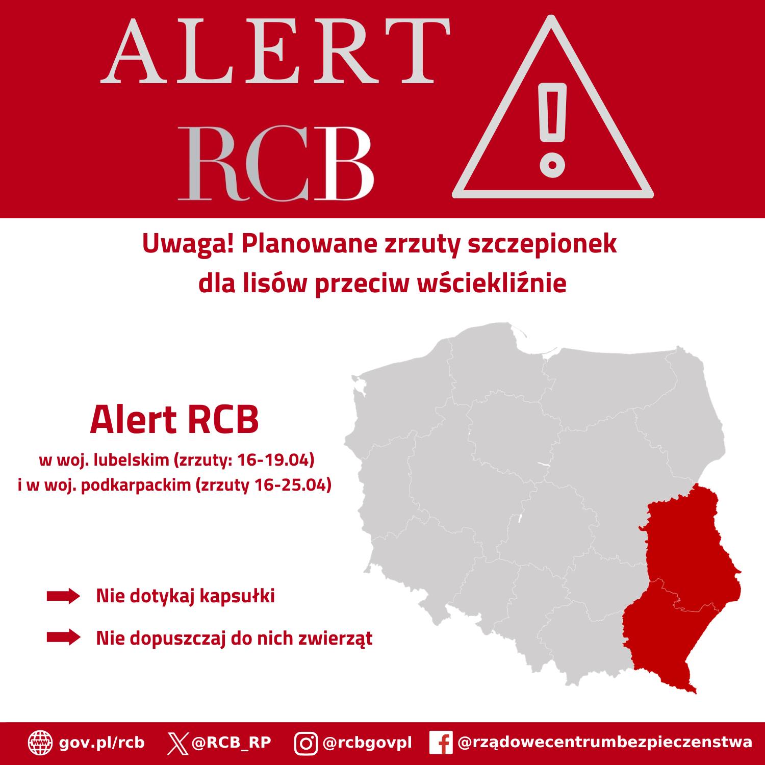 Lokalna Gazeta Internetowa