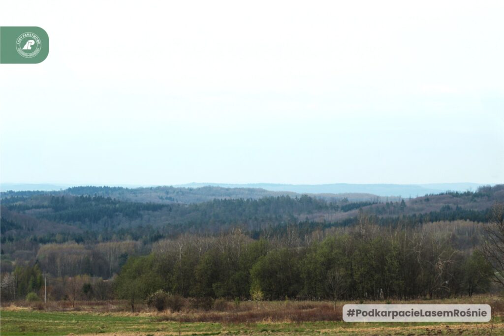 Panorama Z Mechowej Góry