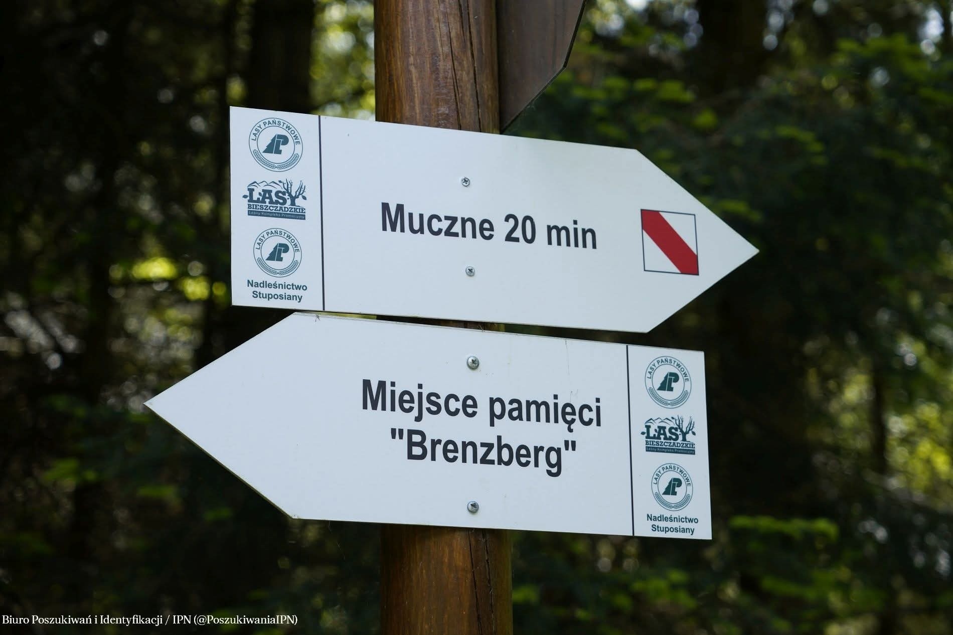 Brenzberg - Tragiczna Tajemnica Bieszczadzkiego Lasu. Historia 74 Polak&oacute;w