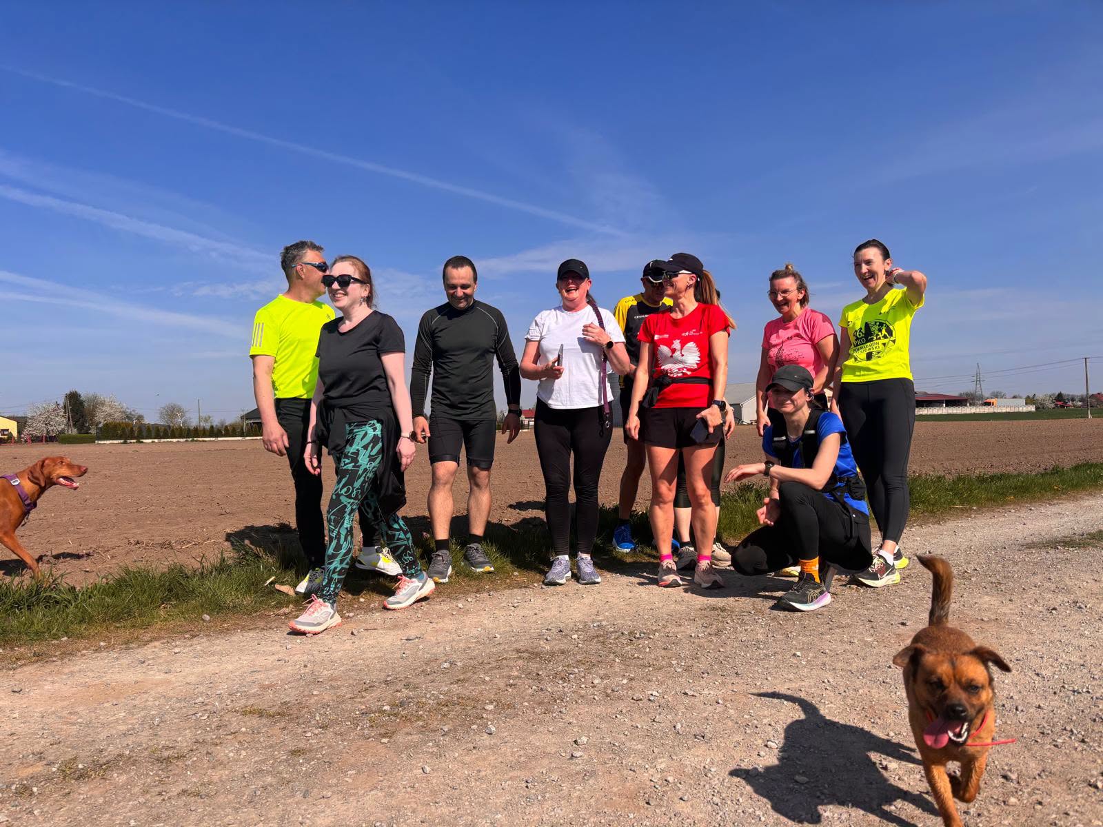 Galicyjska Piątka W Słońcu.