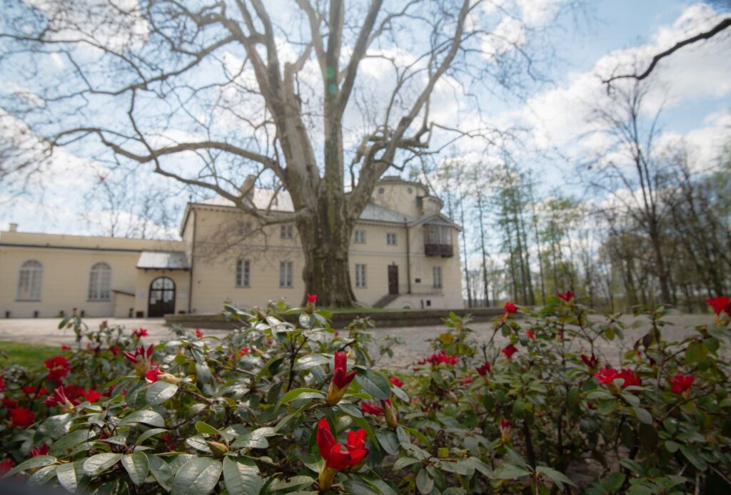 Wiosenna Feeria Barw W Zarzeczu. Park Przy Pałacu Zaprasza Na Spacery