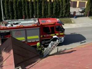 Pożar sadzy w Rożniatowie. Interwencja strażaków z Zarzecza i Przeworska