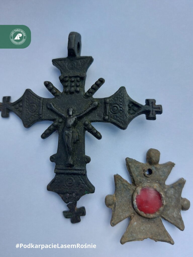 Tajemnica Wsi, Której Już Nie Ma. Leśnicy Z Sieniawy Pokazali Unikatowe Znaleziska