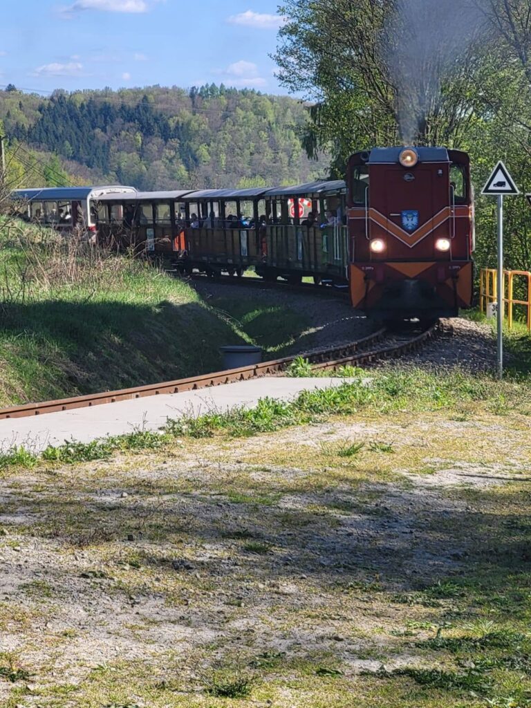 Pogórzanin