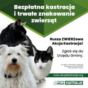Bezpłatna kastracja zwierząt w Gaci