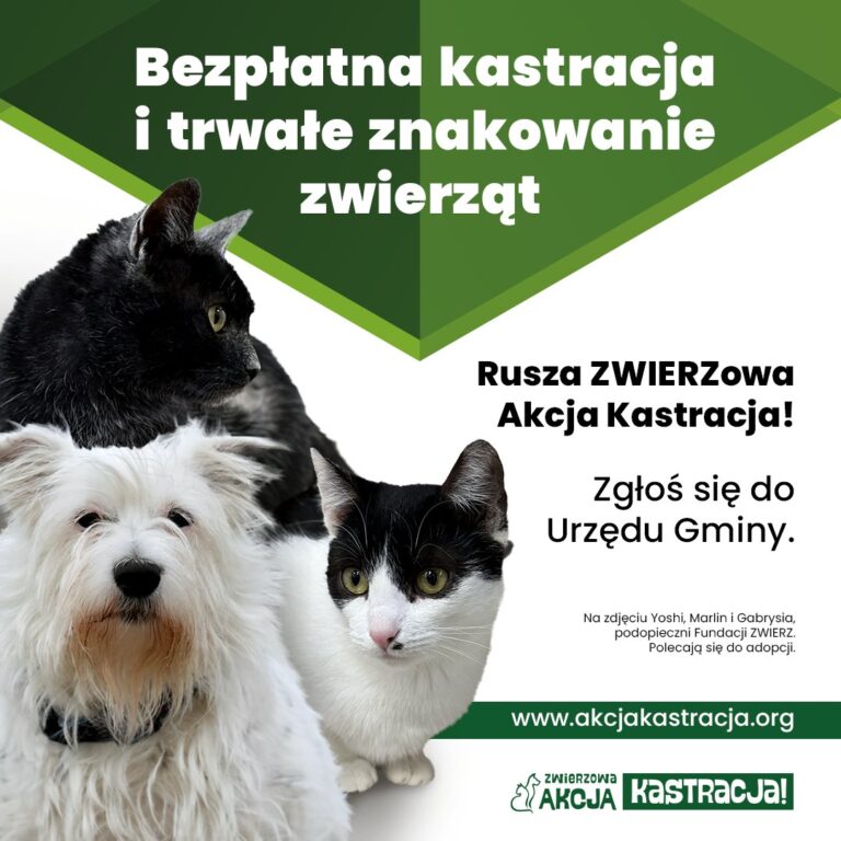 Bezpłatna kastracja zwierząt w Gaci
