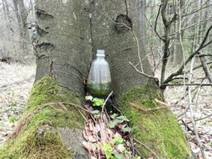 Śmieci w lasach nadleśnictwa Kańczuga
