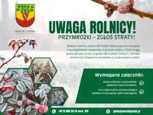 Przymrozki zniszczyły uprawy? Rolnicy z gminy Jawornik Polski mogą już zgłaszać straty