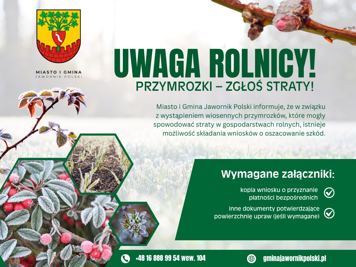 Przymrozki Zniszczyły Uprawy? Rolnicy Z Gminy Jawornik Polski Mogą Już Zgłaszać Straty