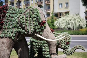 Przeworskie słonie