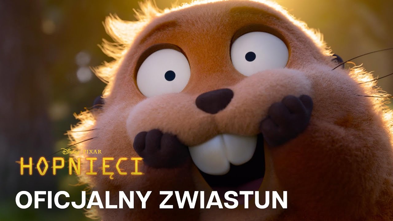 Lokalna Gazeta Internetowa