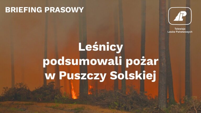 Katastrofalny pożar w Nadleśnictwie Józefów. Leśnicy oszacowali straty, rezerwat w popiele