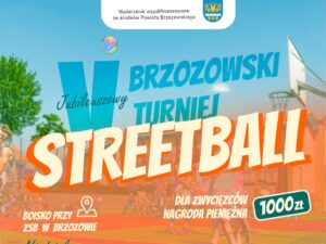 V Jubileuszowy Brzozowski Turniej Streetball