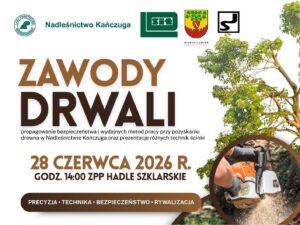 Zawody Drwali 2026