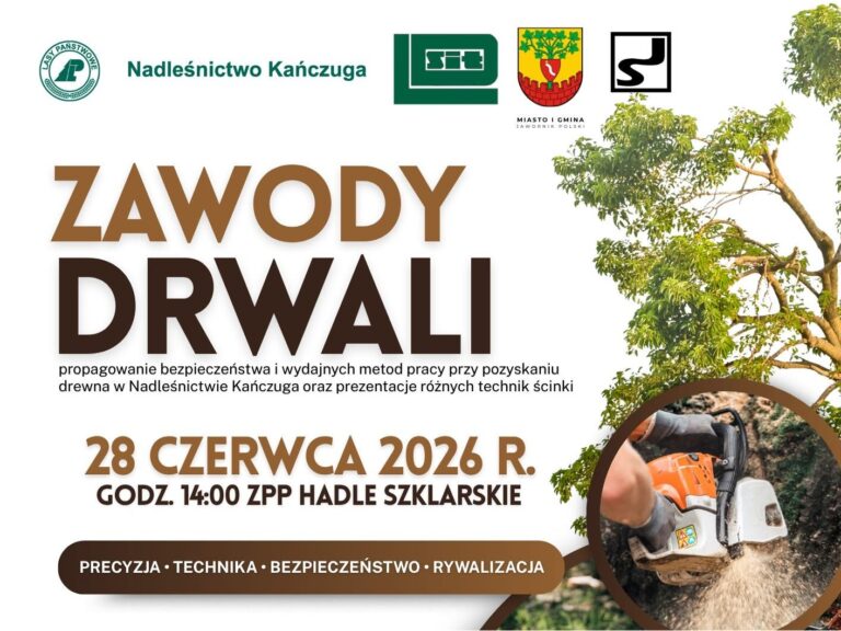Zawody Drwali 2026