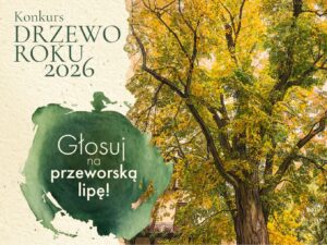 Głosowanie na drzewo roku