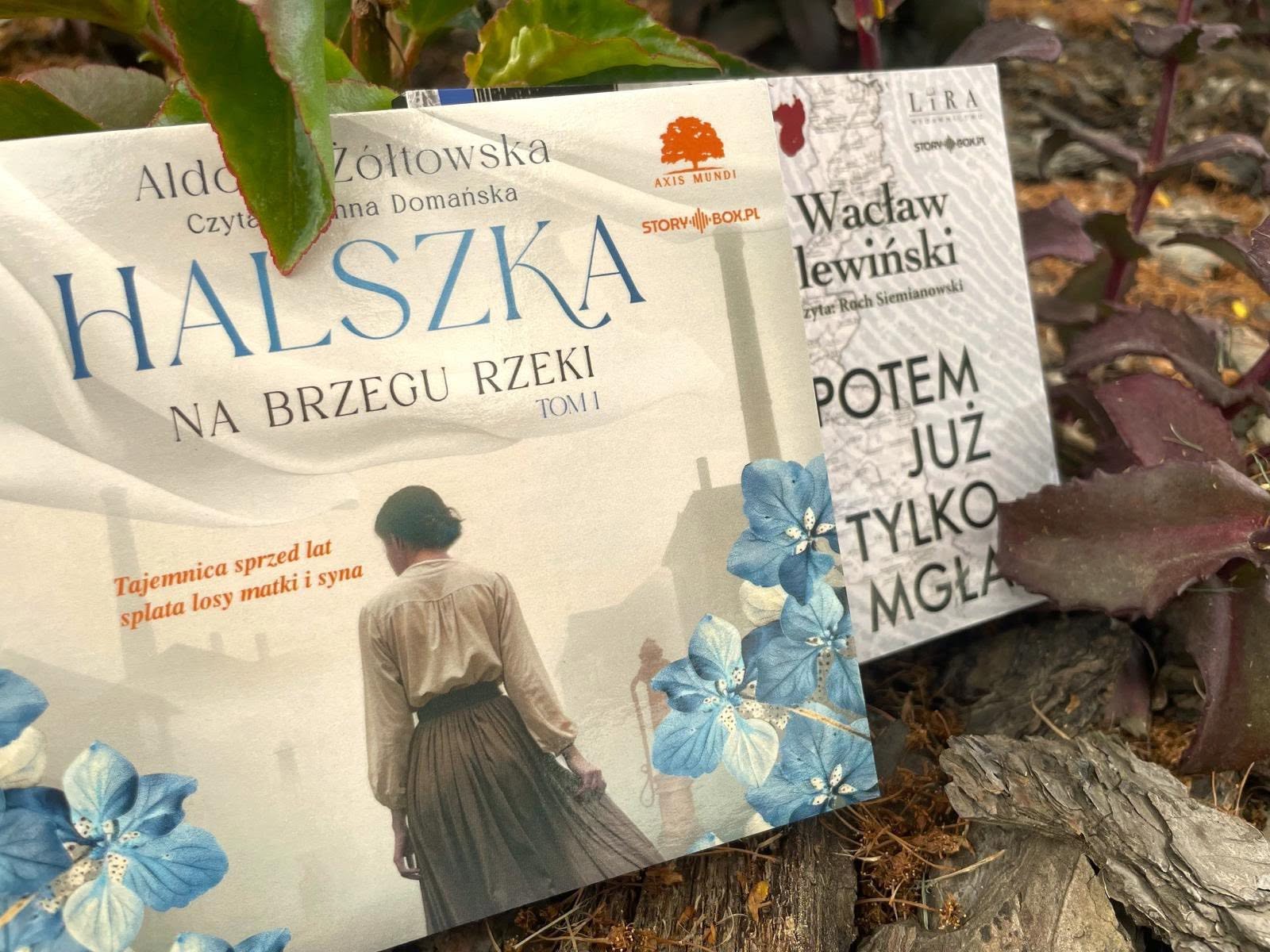 Lokalna Gazeta Internetowa 9 Nowe Audiobooki W Zbiorach Miejskiej Biblioteki Publicznej W Przeworsku