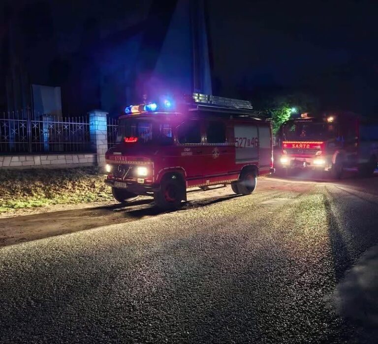 Kot uwięziony w studzience burzowej. Akcja strażaków w Krzeczowicach