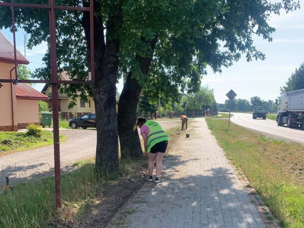 Porządki i estetyzacja w gminie Tryńcza