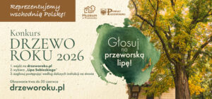 Głosuj na przeworską lipę