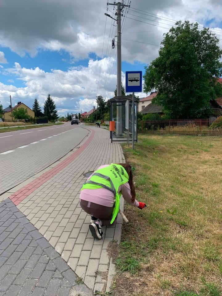 Koszą, Plewią I Sprzątają. Zobacz, Co W Twojej Okolicy Zrobili Uczestnicy Cis Tryńcza 1 Koszą, Plewią I Sprzątają. Zobacz, Co W Twojej Okolicy Zrobili Uczestnicy Cis Tryńcza