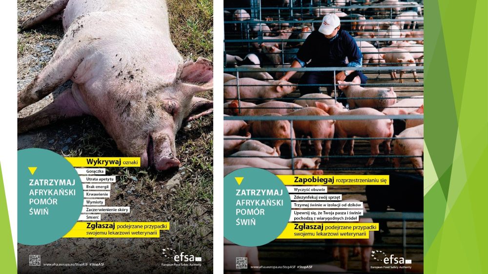 Lokalna Gazeta Internetowa 1 Lokalna Gazeta Internetowa