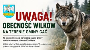 Ostrzeżenie o wilkach w gminie Gać