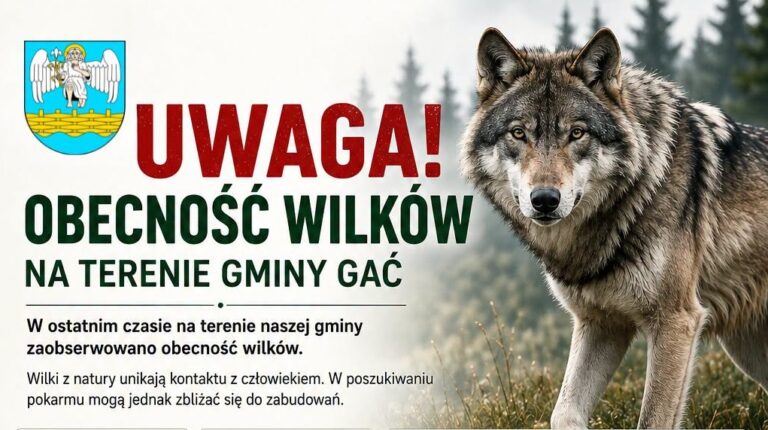 Ostrzeżenie o wilkach w gminie Gać