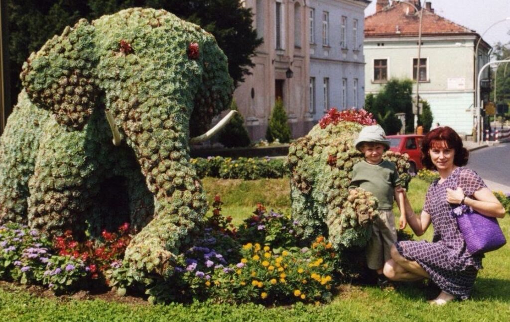 772510804_2171461710442738_9080006681509444025_N Znasz Je Od Dziecka? Słonie W Przeworsku Mają Już Ponad Pół Wieku
