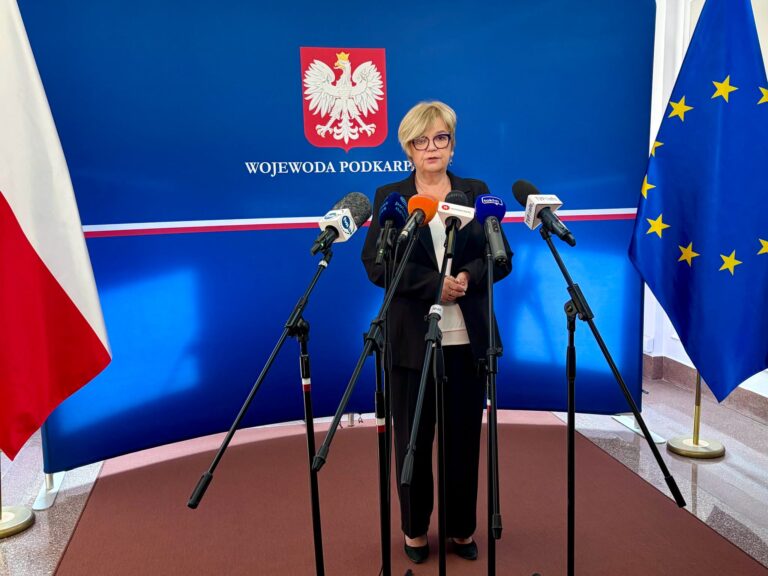 Brief Wojewody Podkapackiej dot. wypadku na Węgrzech
