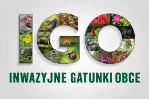 Gatunki IGO w Polsce