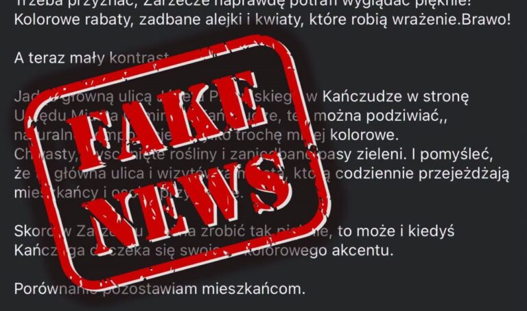 Spór o nieskoszone pasy zieleni w Kańczudze. Urząd odpowiada