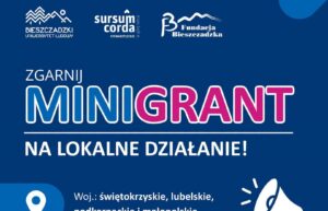 plakat mini granty