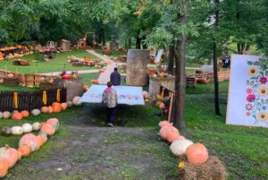 Farma Dyniowa w Tryńczy