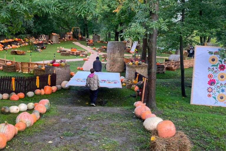Farma Dyniowa w Tryńczy
