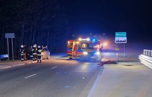 Zderzenie osobówki z łosiem w Mikulicach