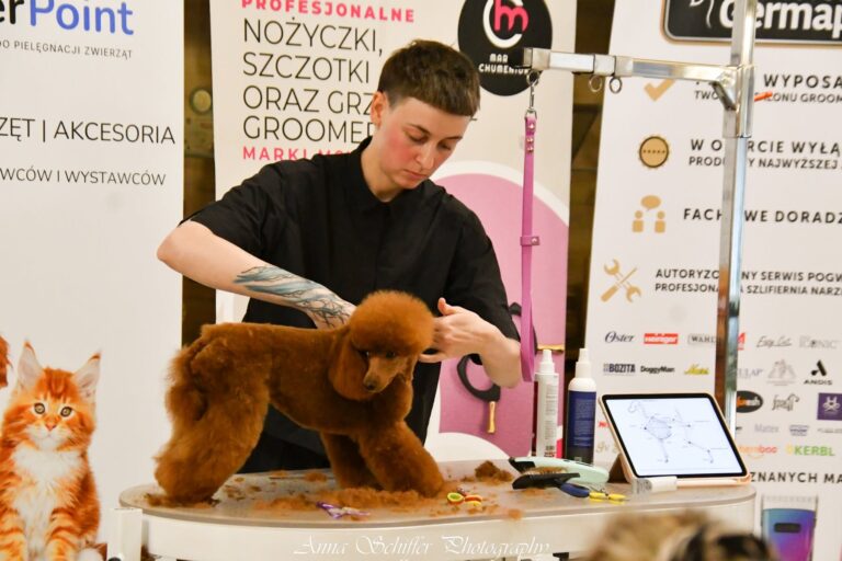 Podkarpacki Groomer Show w Przeworsku