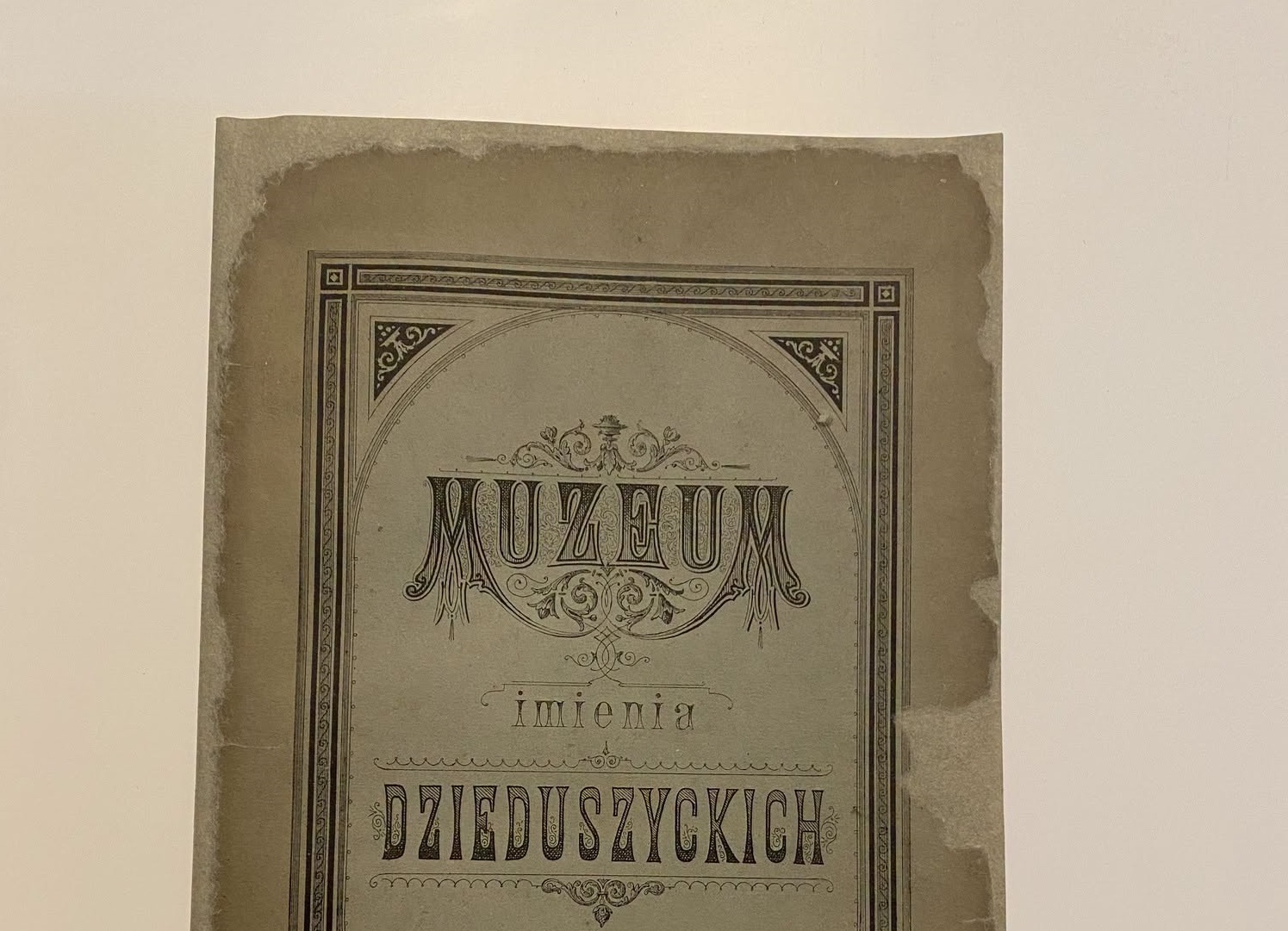 Lokalna Gazeta Internetowa 25 Pierwszy Przewodnik Po Muzeum Dzieduszyckich We Lwowie