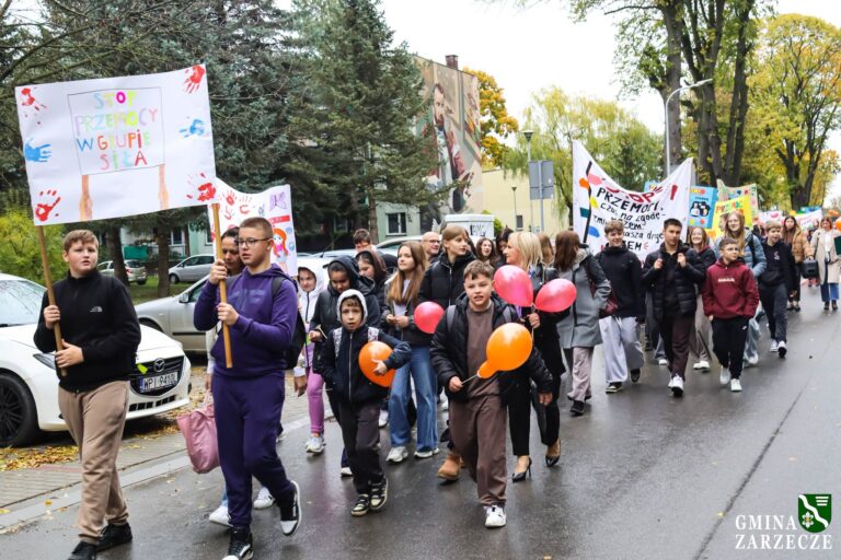 Marsz przeciw przemocy w Zarzeczu