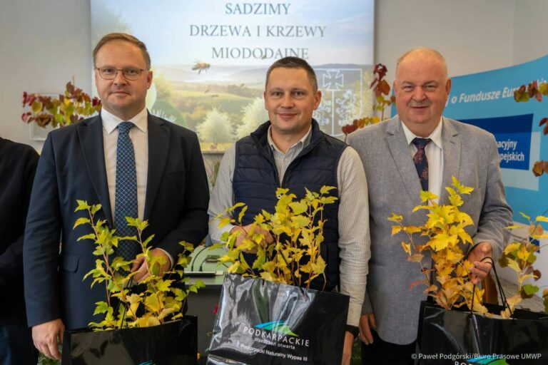 W Jaworniku Polskim posadzili lipy, jawory i kolorowe krzewy