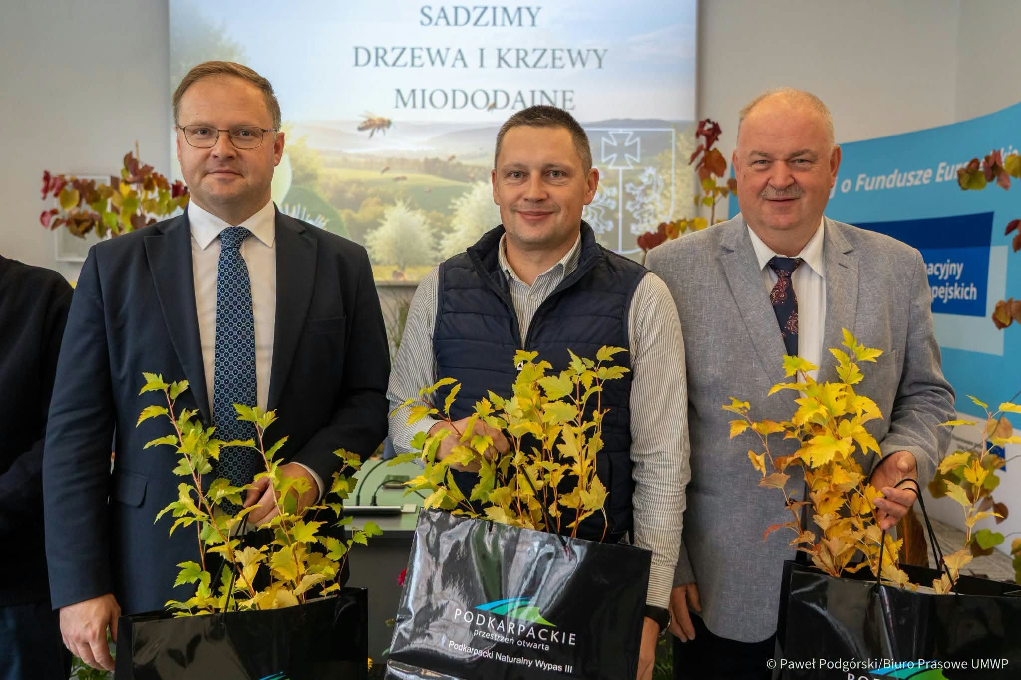 Lokalna Gazeta Internetowa 3 W Jaworniku Polskim Posadzili Lipy, Jawory I Kolorowe Krzewy