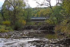 bieszczady-bieszczadzki-park-narodowy-bobry-tamy-potok-wolosatka-wolosaty-2026