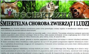 Wścieklizna na wschodzie kraju. Powiatowy Lekarz Weterynarii w Przeworsku przypomina