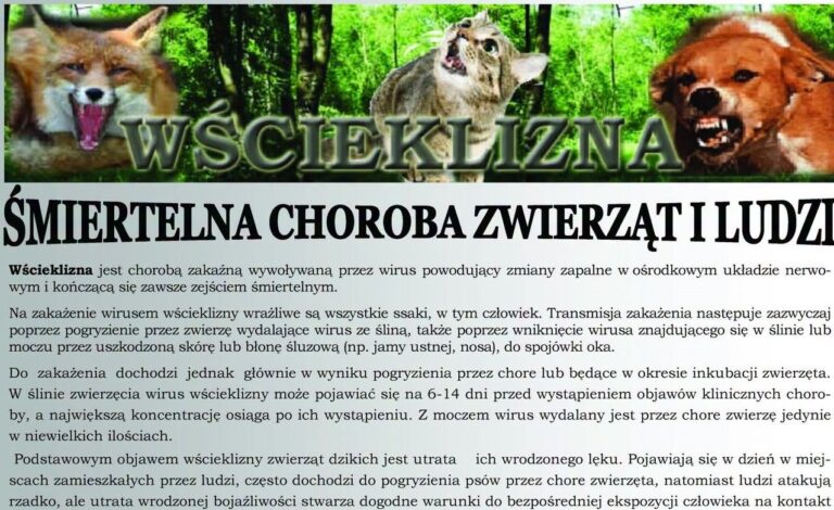 Wścieklizna na wschodzie kraju. Powiatowy Lekarz Weterynarii w Przeworsku przypomina